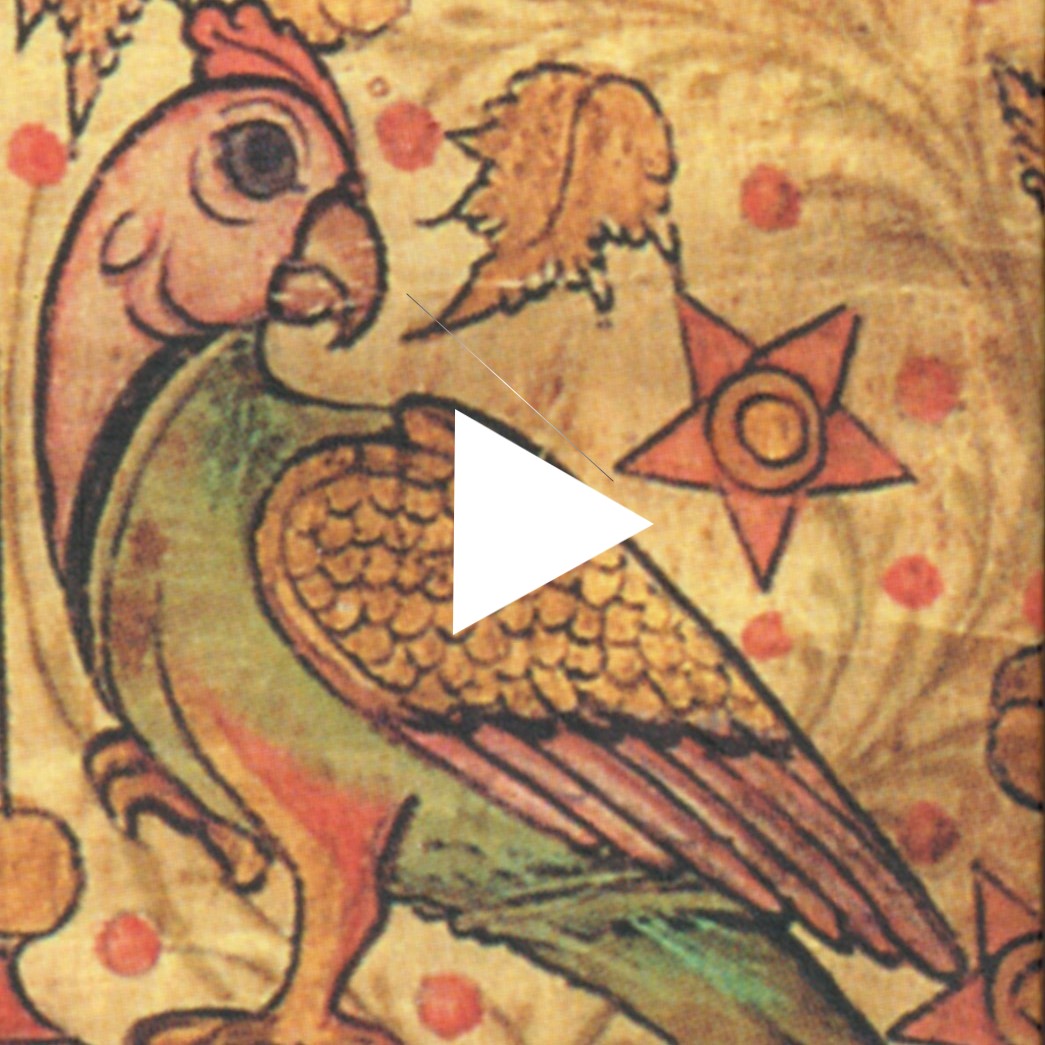 Splendid Singing Birds